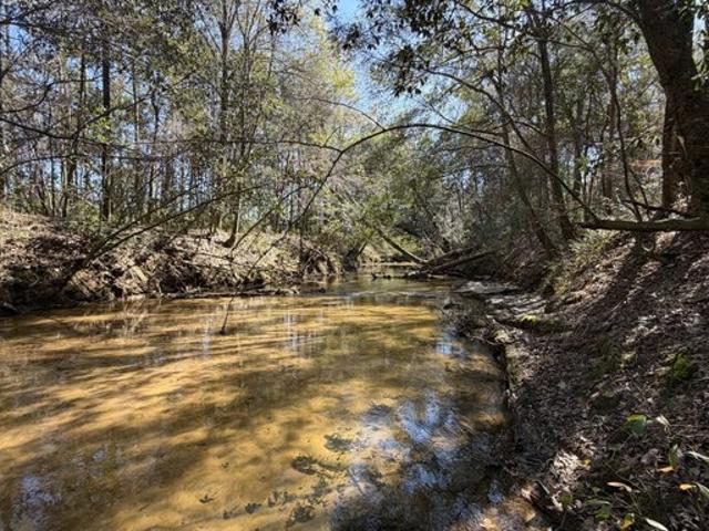 Land for sale in Elba, Alabama