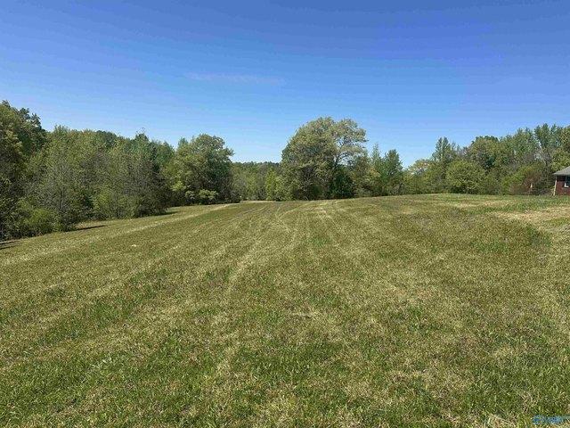 Land for sale in Elkmont, Alabama