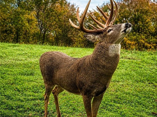 Land for sale in Guernsey, Ohio