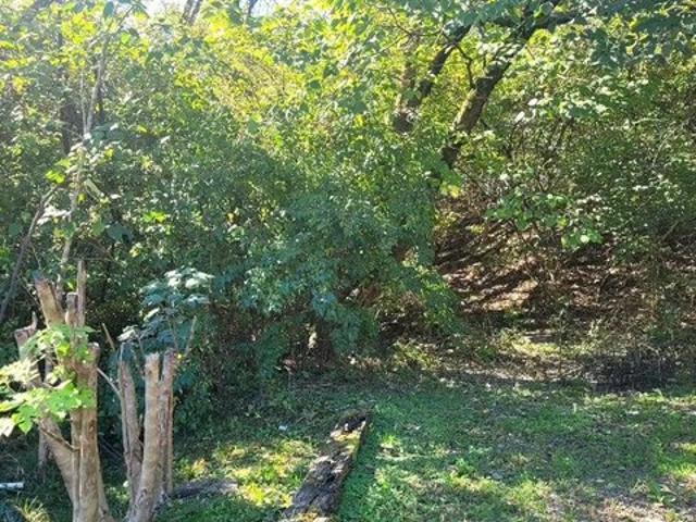 Land for sale in Avondale, Chattanooga