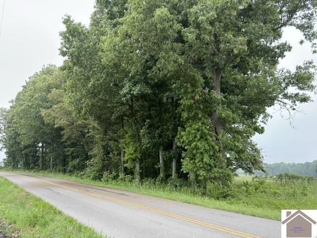 Land for sale in Murray, Kentucky
