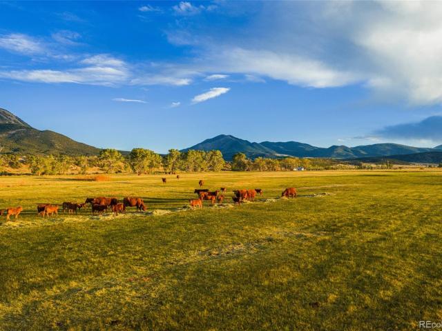 Land for sale in Gardner, Colorado