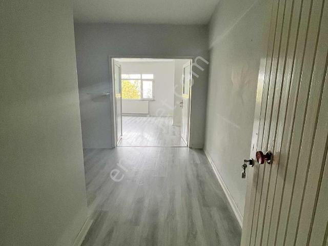 KORU BELDESİ, Çınarcık içerisinde kiralık mülk