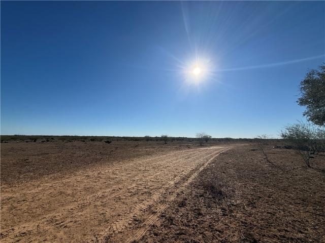 Land for sale in Alice, Texas