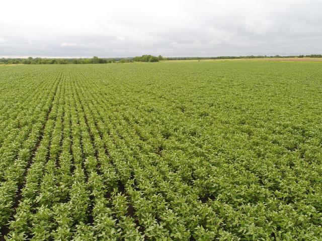 Land for sale in Hunt, Texas