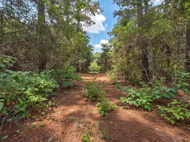 Land for sale in Grimes, Texas