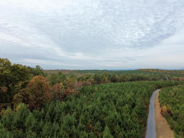 Land for sale in Virginia