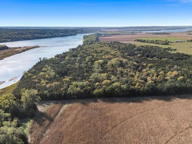Land for sale in Meckling Township, Clay County