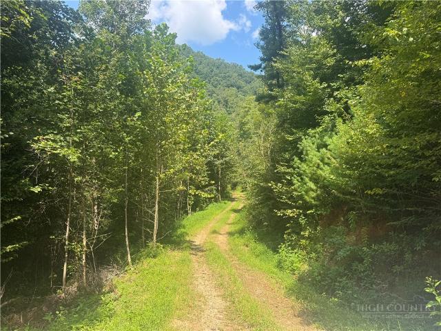Land for sale in Mount Zion, Wilkes County