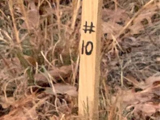 Land for sale in Poteau, LeFlore County