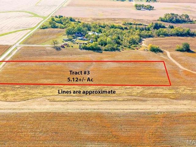 Land for sale in Freeburg, Illinois