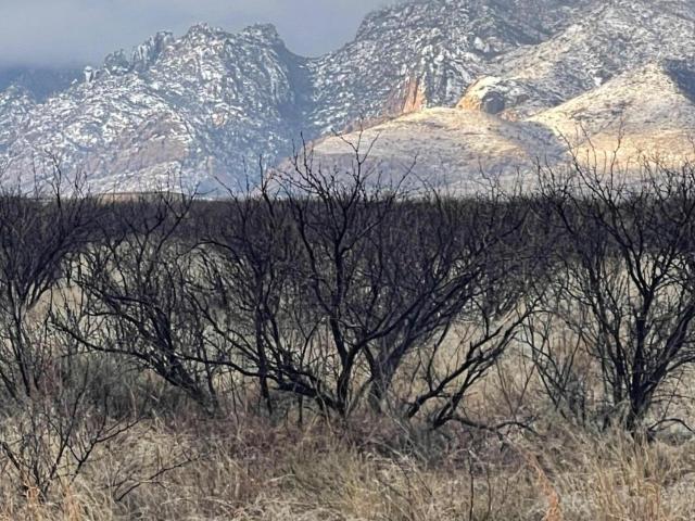 Land for sale in Cochise County, Arizona