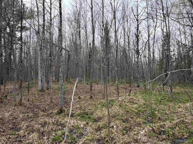 Land for sale in Rockland, Michigan