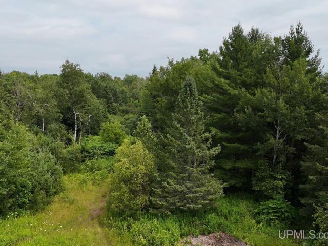 Land for sale in Atlantic Mine