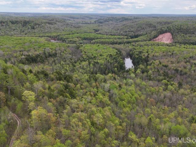 Land for sale in Rockland, Michigan