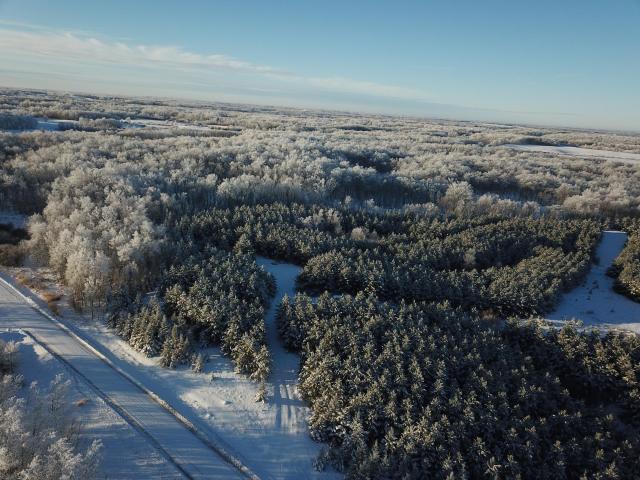 Land for sale in Clearbrook, Minnesota