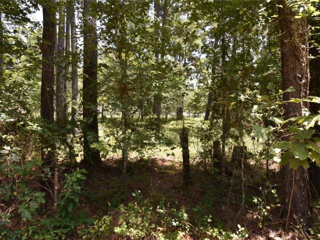 Land for sale in Polk, Texas