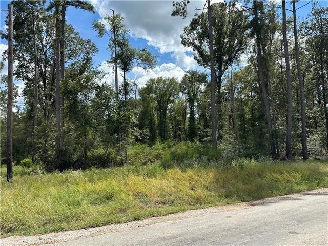 Land for sale in Louisiana