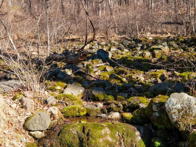 Land for sale in Virginia