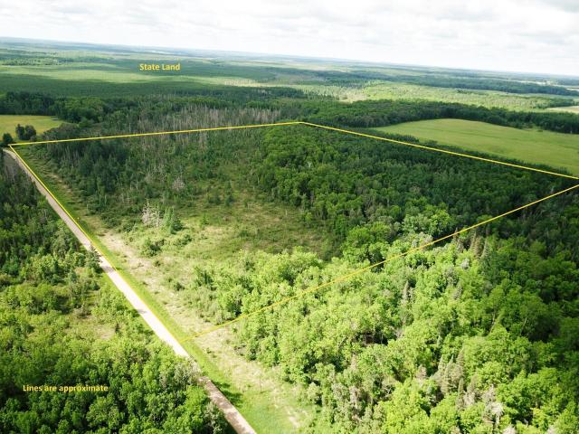 Land for sale in Bagley, Minnesota