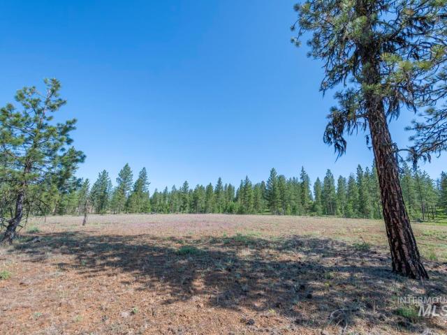 Land for sale in New Meadows, Idaho