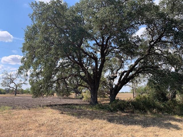 Land for sale in Oakland, Weimar