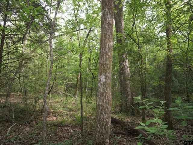 Land for sale in Henderson, Texas