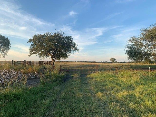 Land for sale in Williamson, Texas
