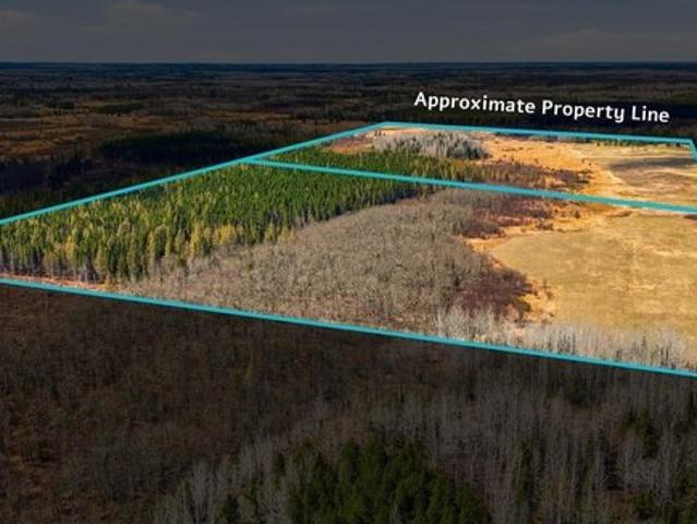 Land for sale in Angora, Minnesota