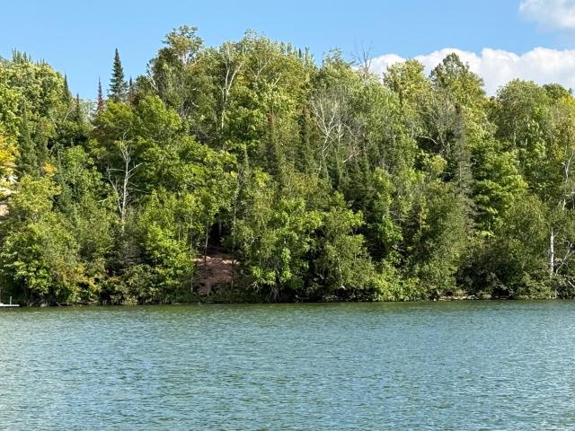 Land for sale in Wisconsin