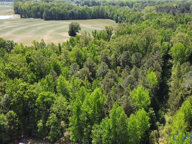 Land for sale in Mecklenburg County, Virginia