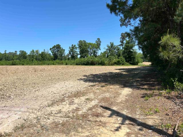 Land for sale in Hemingway, South Carolina
