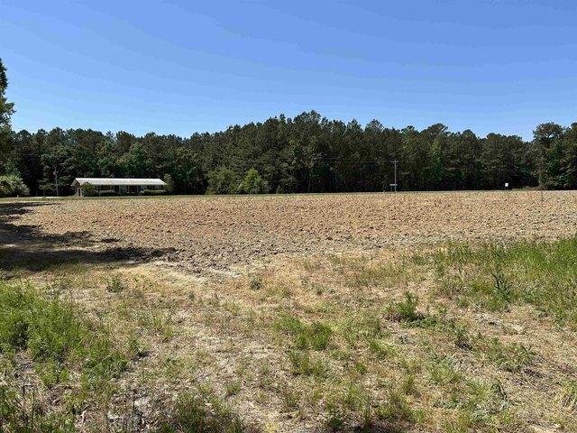 Land for sale in Hemingway, South Carolina