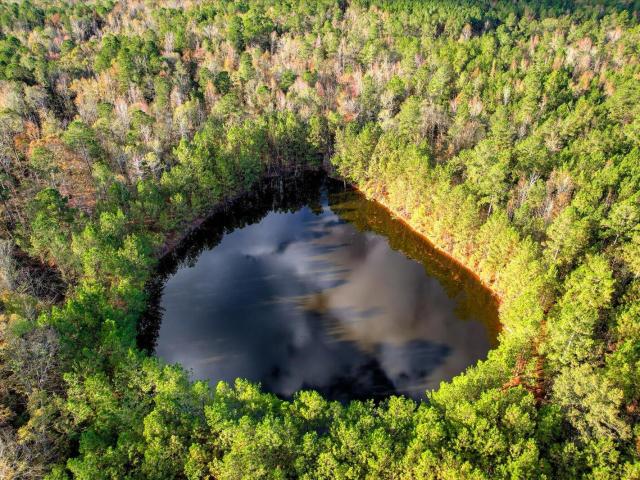 Land for sale in Edgefield, South Carolina