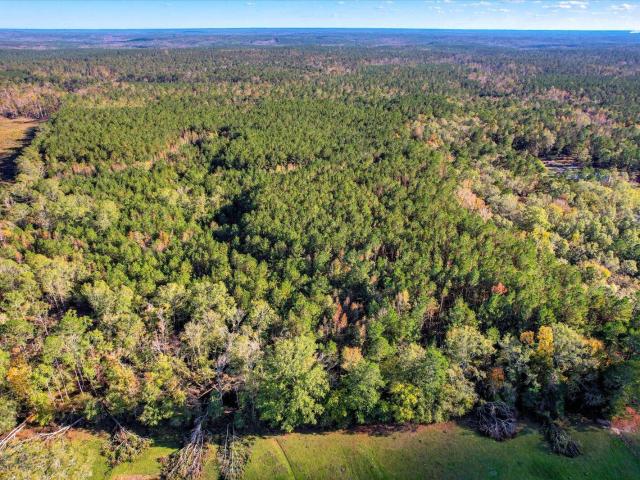 Land for sale in Edgefield, South Carolina