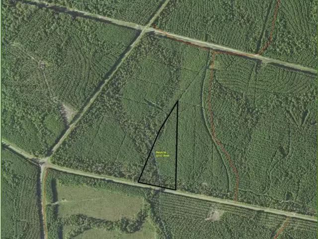 House for sale in Pineland