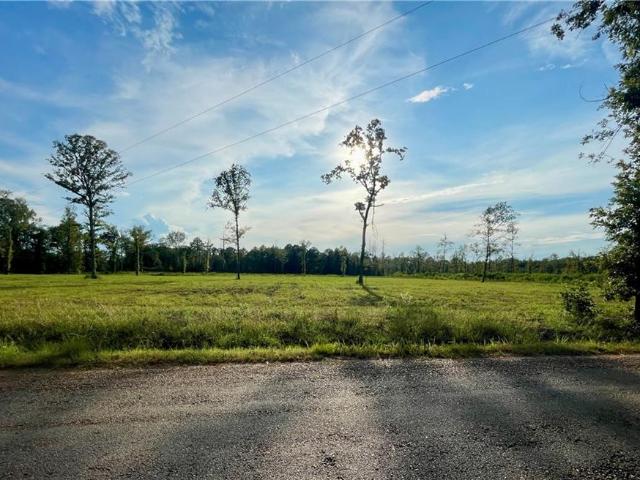 Land for sale in Deville, Rapides Parish