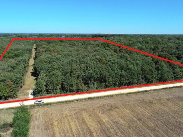 Land for sale in Jerico Springs, Cedar County