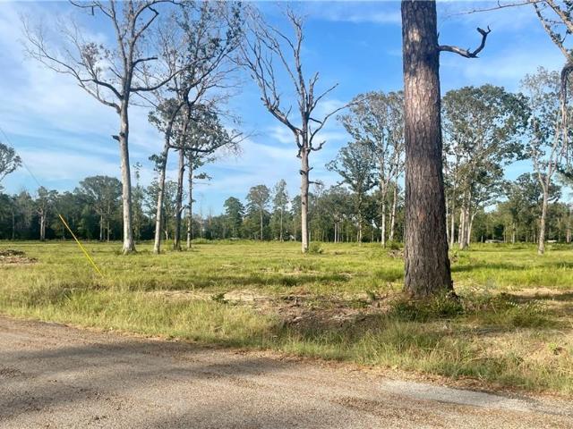 Land for sale in Deville, Rapides Parish