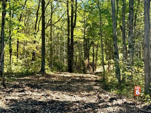 Land for sale in Cass County, Minnesota