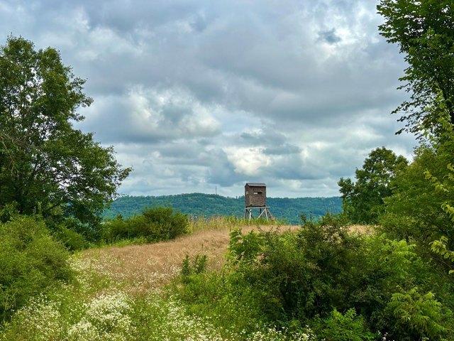 Land for sale in Houston, Minnesota