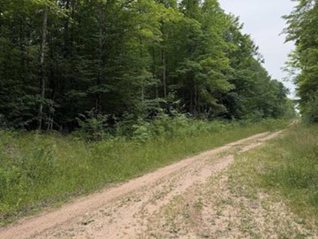 Land for sale in Ontonagon, Michigan