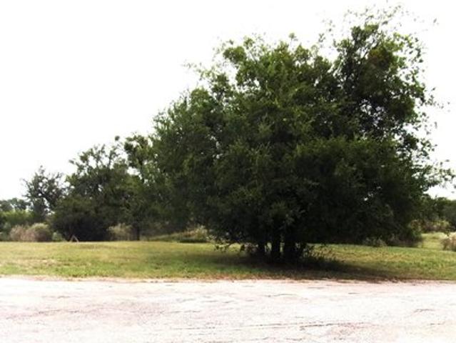 Land for sale in San Saba, Texas