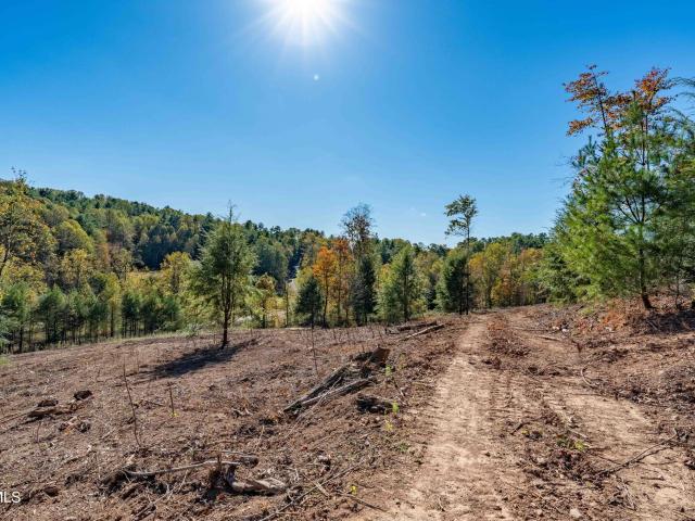 Land for sale in Tennessee