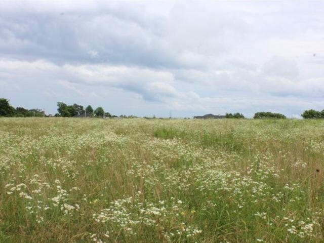 Land for sale in Ark
