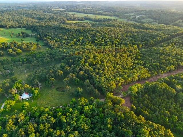 Land for sale in Mansfield, Wright County