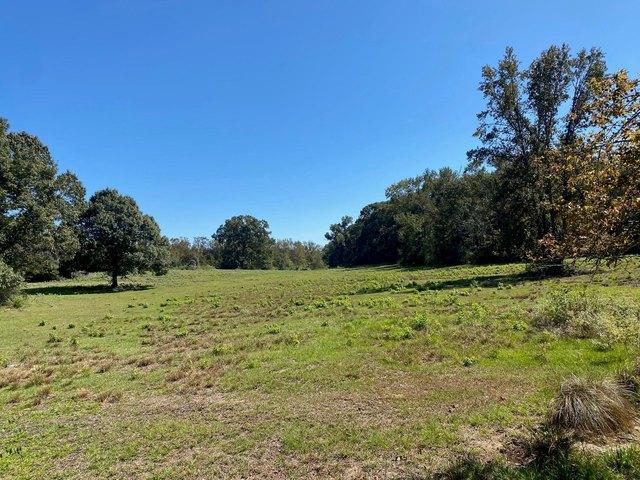 Land for sale in Leon, Texas