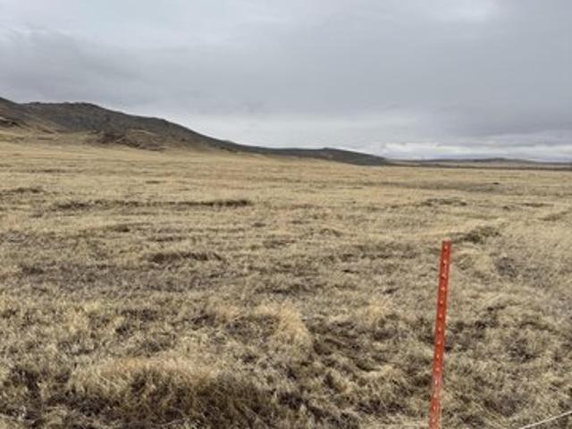 Land for sale in Golconda, Humboldt County