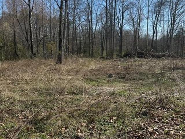 Land for sale in Virginia