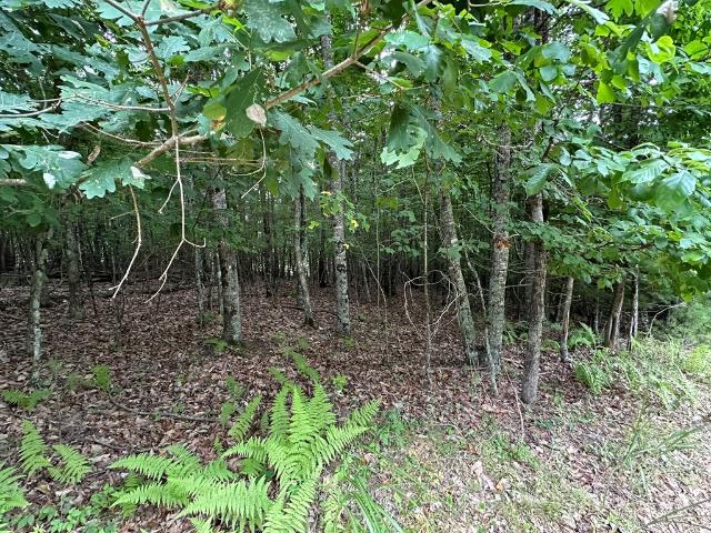 Land for sale in Virginia